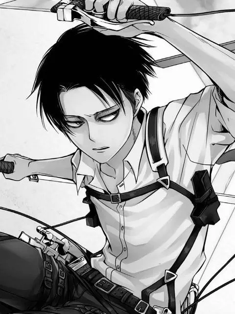 MEOMEORI-FAIRY의 벽에 낀 유저를 발견한 리바이