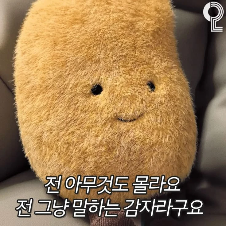 왜 쟤네랑 동거해야함 ?