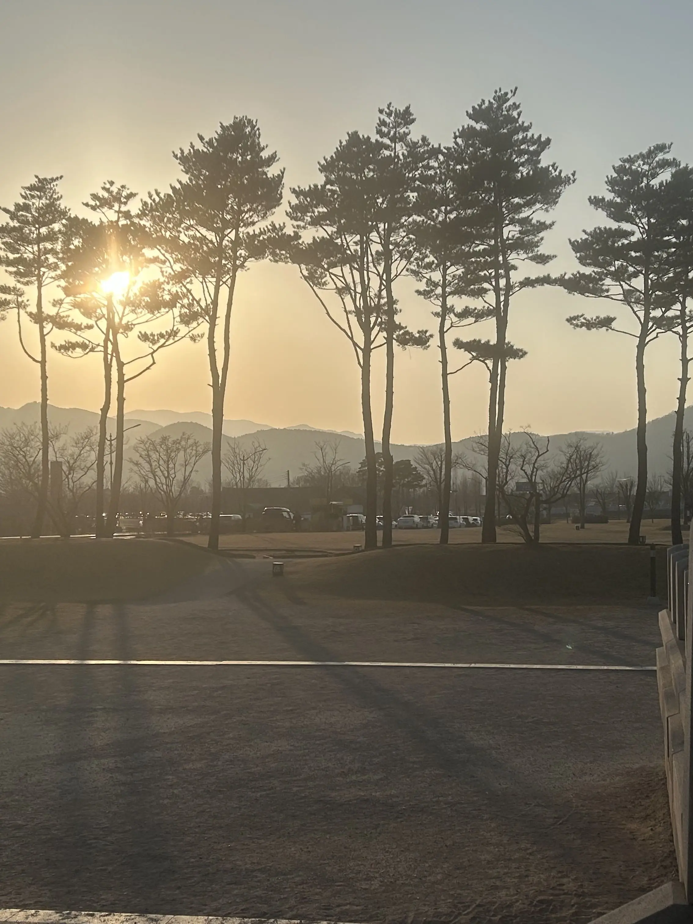 SnowyShirt0404의 펠리네아 아카데미