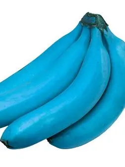 Tosee의 동거인이 3명으로 갈라짐