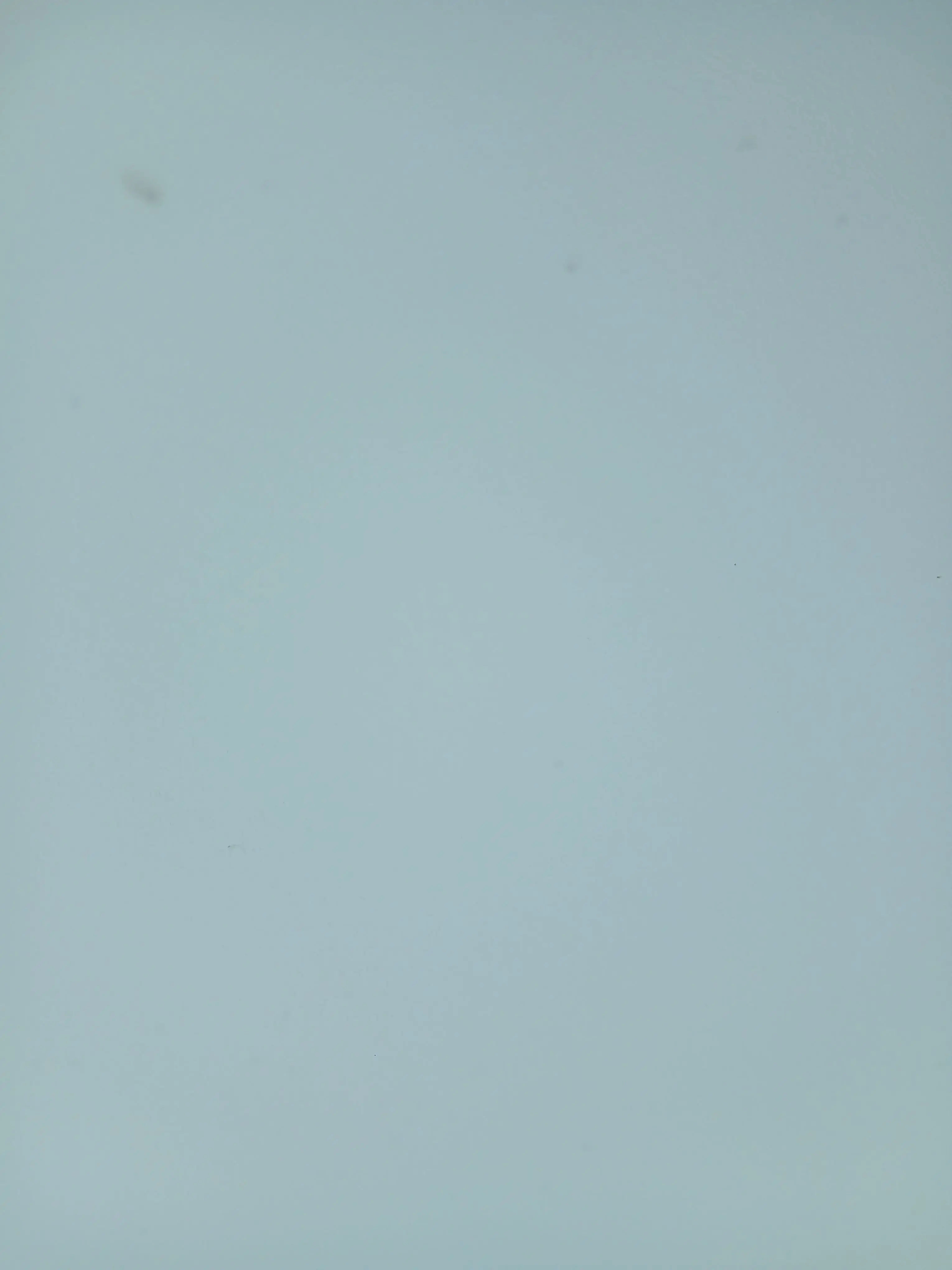 FairBeago5334의 제페토