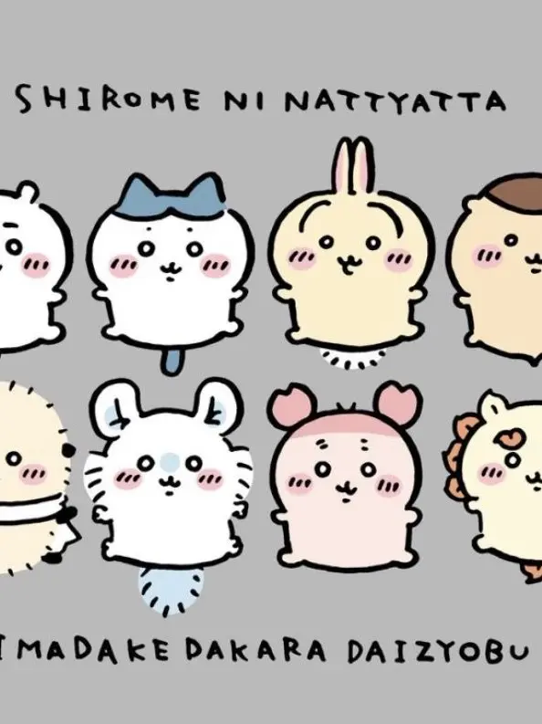 R.tama0820의 ちいかわに新キャラ！？