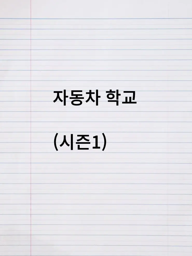 Zigzag.i_am_babo_girl의 자동차 학교