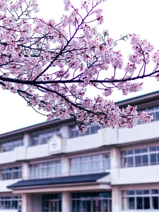 Dingo-Magpie의 Japanese Highschool