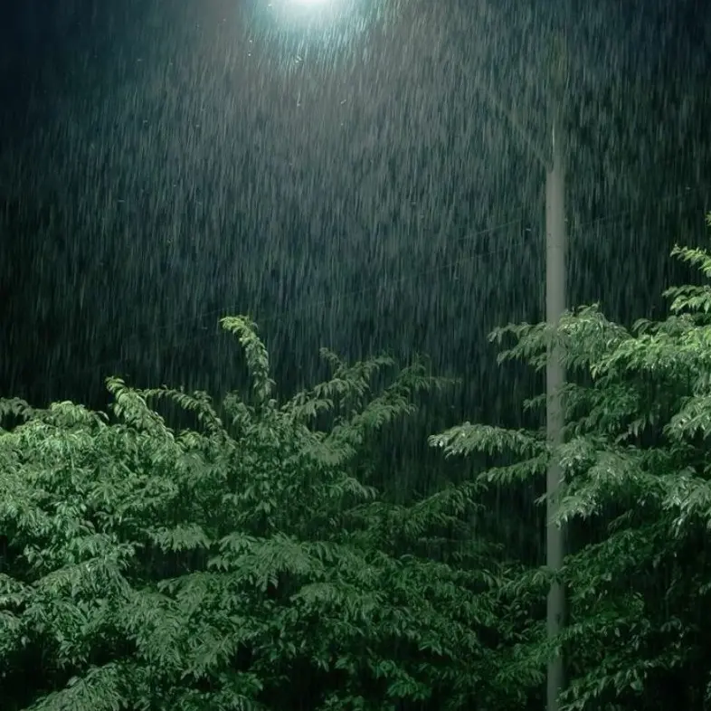 eight_time의 Part 1_정공룡