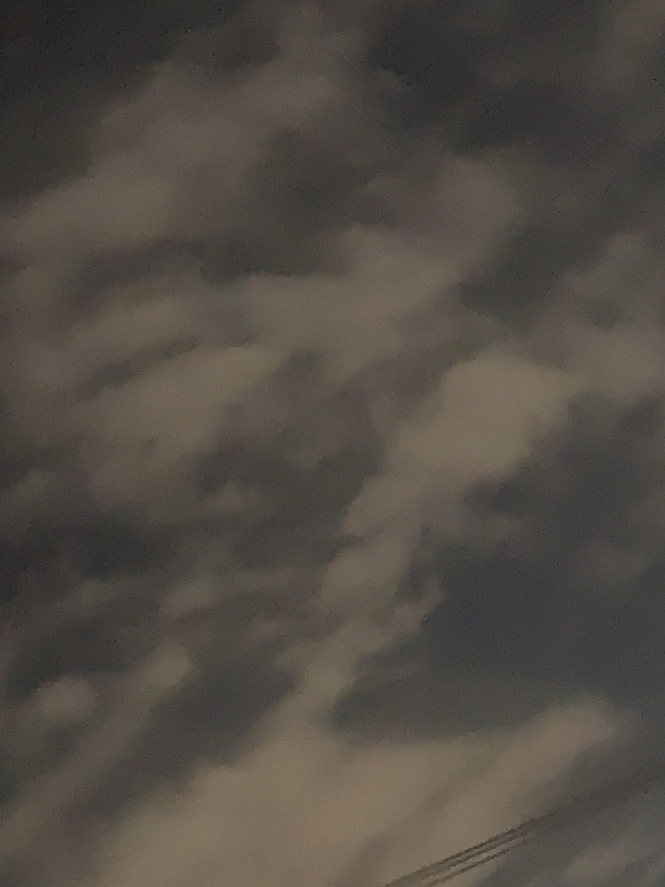 Mayoneeeeeeeeeeeeeeeeeeeezu의 どういうこと？