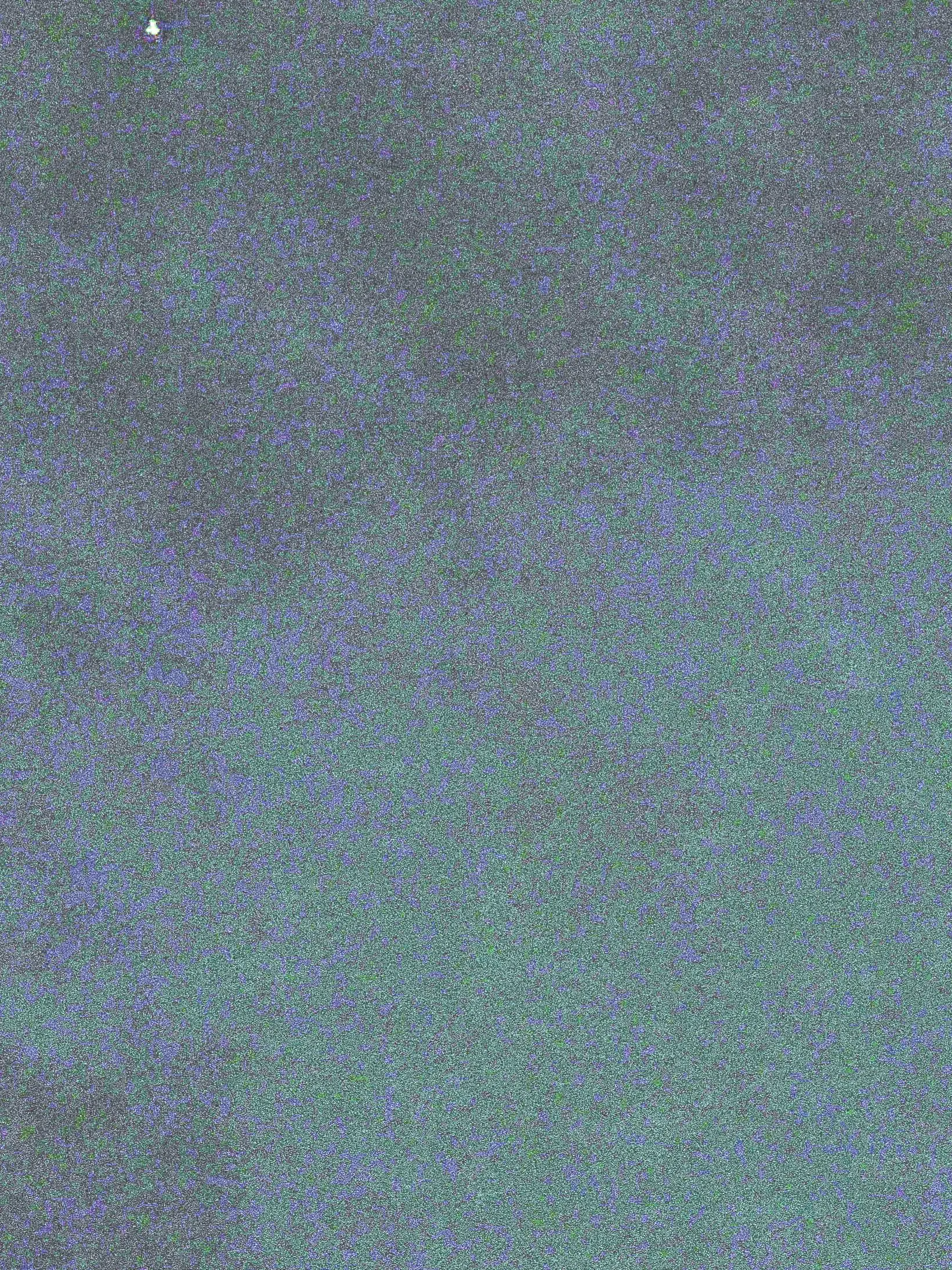 BigFlake4864의 보고싶어보고싶어보고싶어보고싶어보고싶어