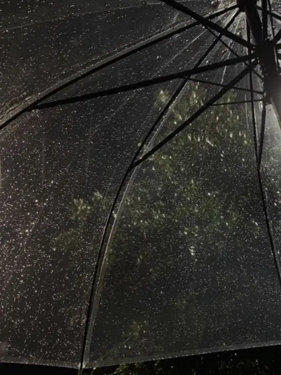 Kai_dabo의 나랑 … 비 맞을래 .. ? ☔️