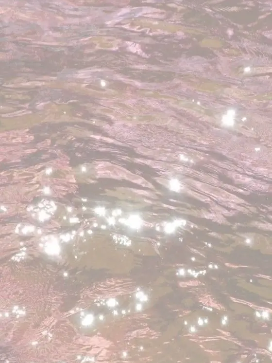 u.4_zz의 .⋆𝜗𝜚