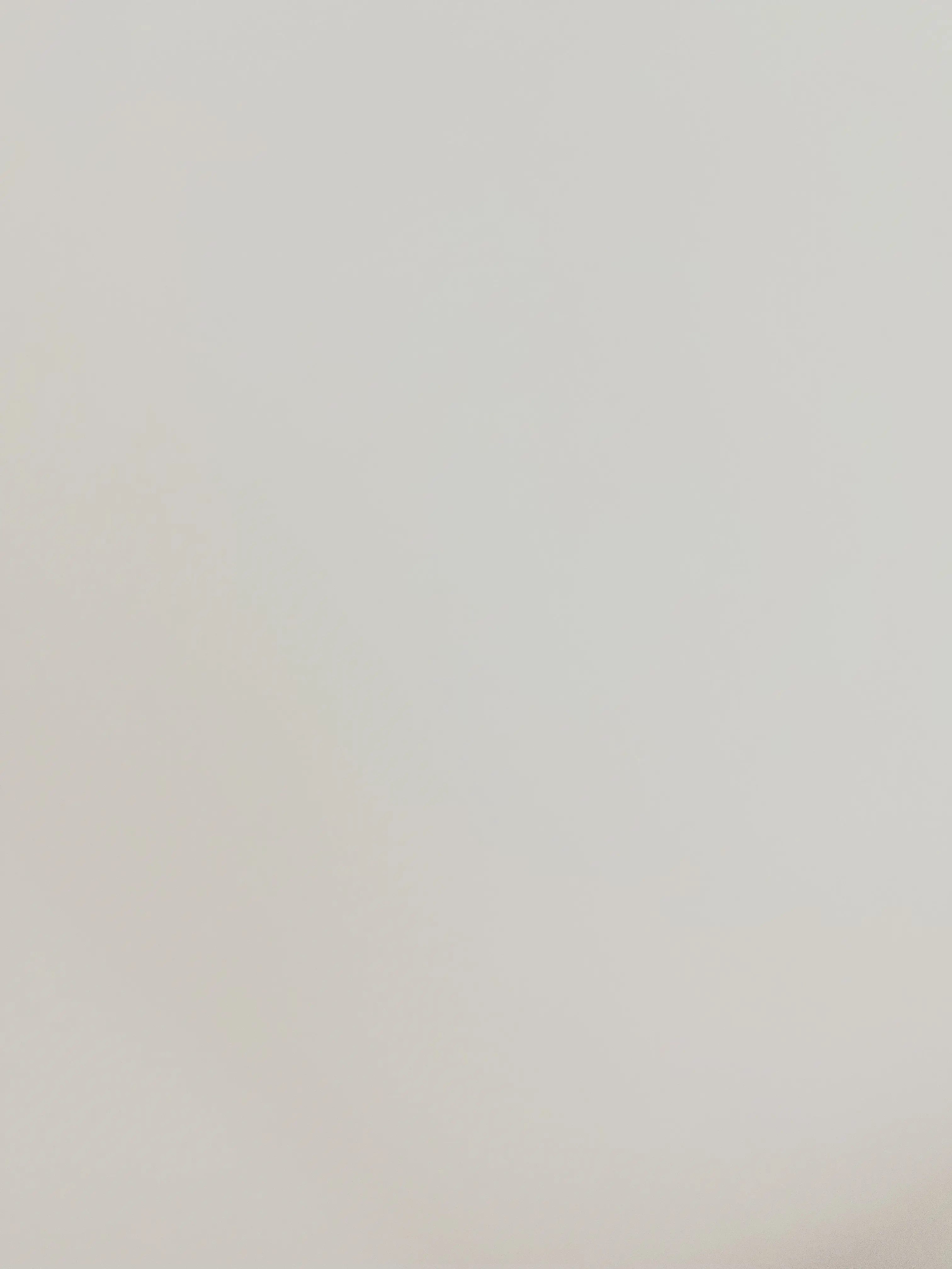 FeebleBall1386의 환혼