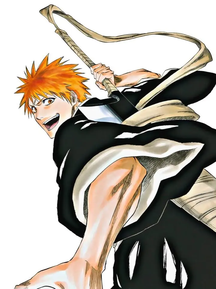StiffLaser6700의 Ichigo Kurosaki