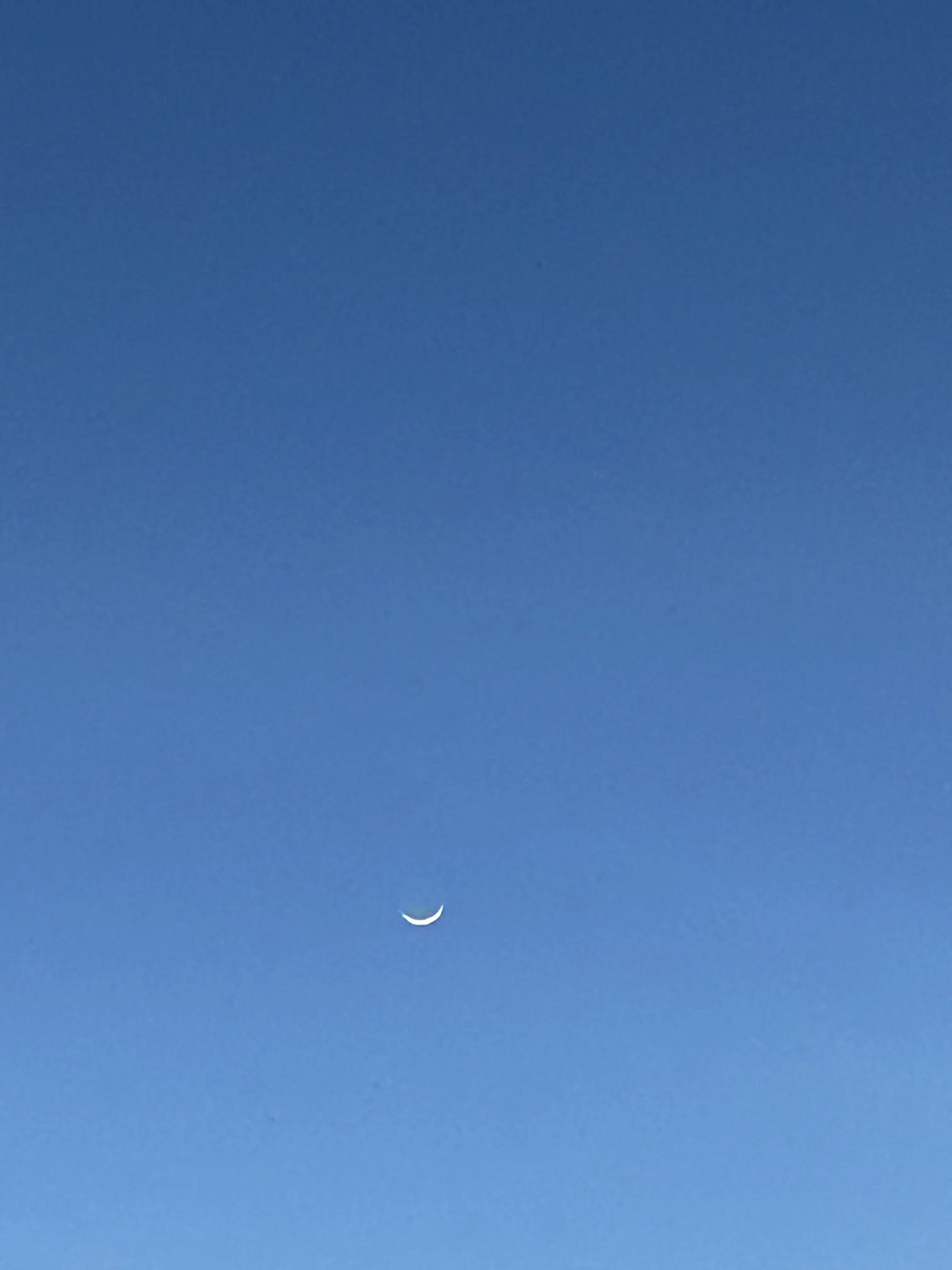 Potato_dayo의 竹取物語