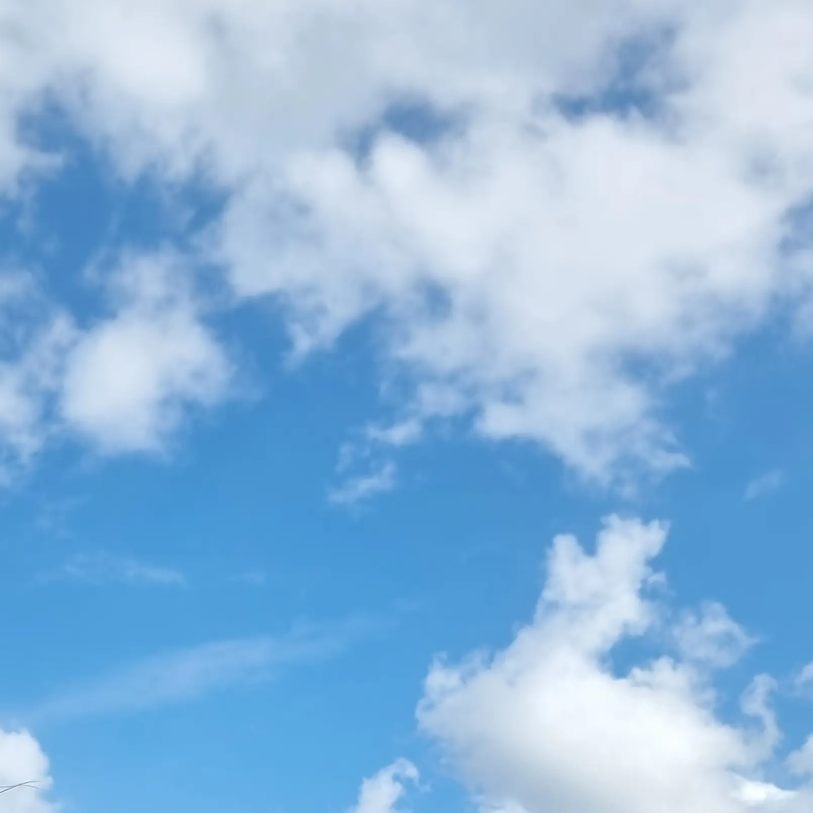 ClearSeed5218의 99나이츠인더포레스트❤️,여우🤦