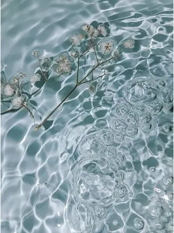 Actinomycosis의 부산조 : 여름