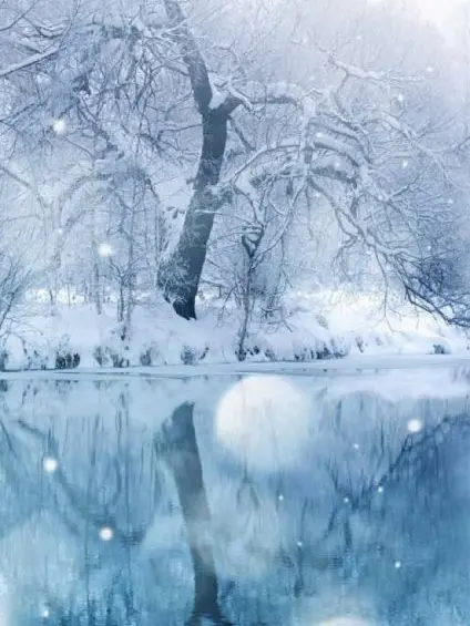 SANA0329308329의 SnowMan（ブリコあり）