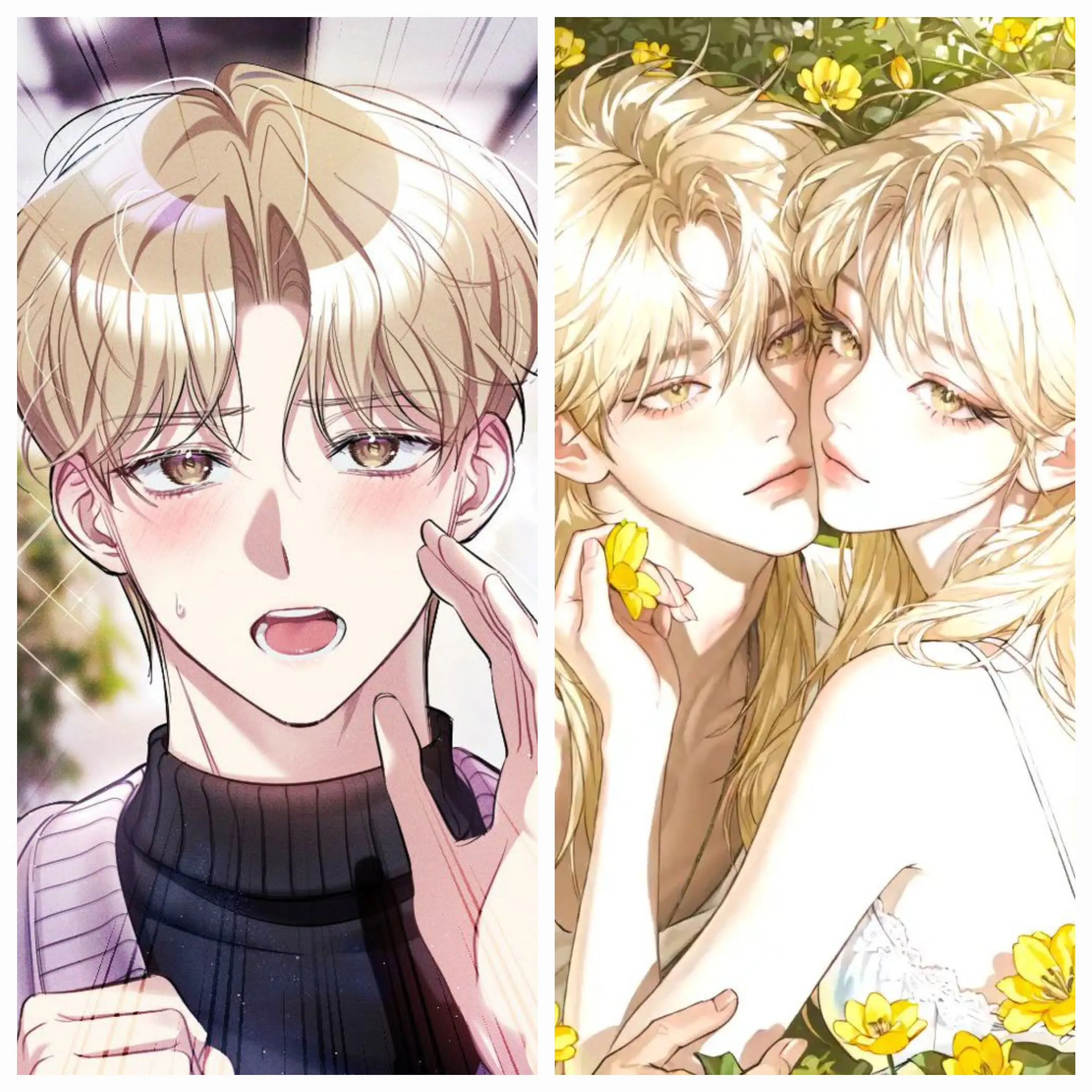 ccddee의 송승준, 송승헌.