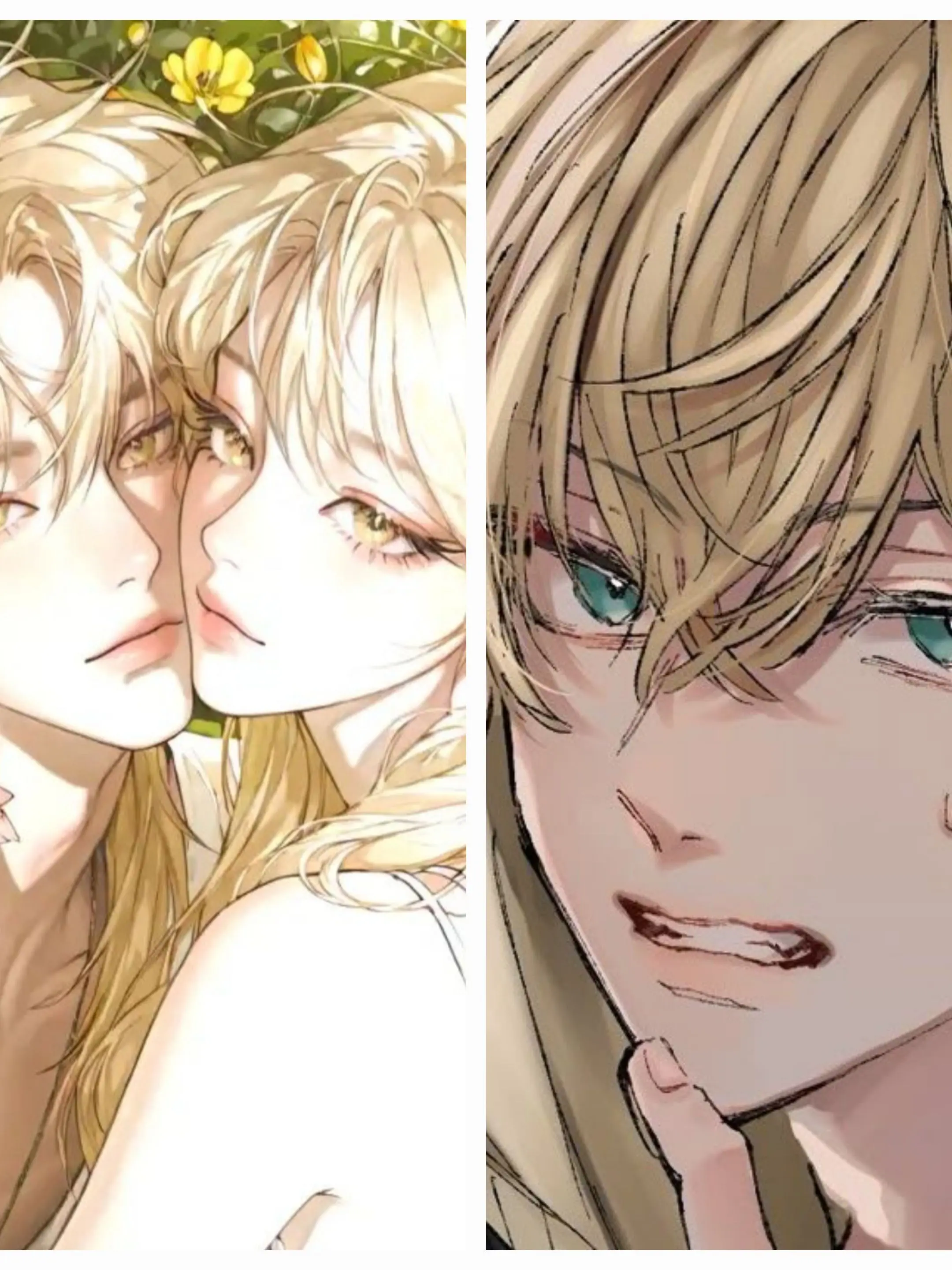 ccddee의 송승준, 송승헌.