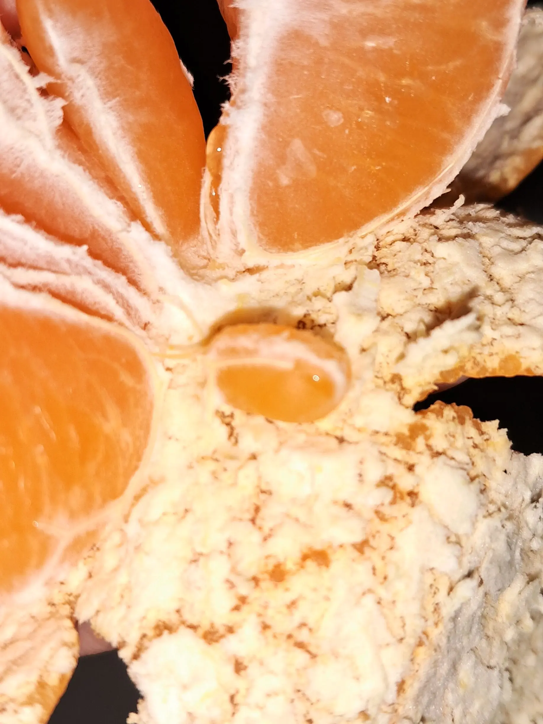 ChubbyLime9954의 개인용