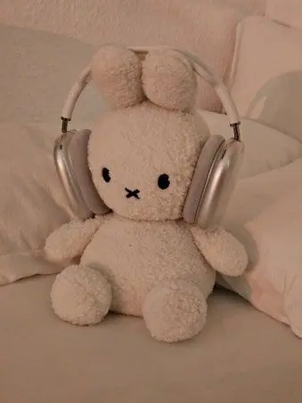 CattyOasis8167의 패러다이스 동생들