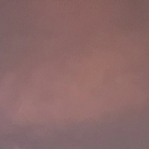 ...かまって  。
