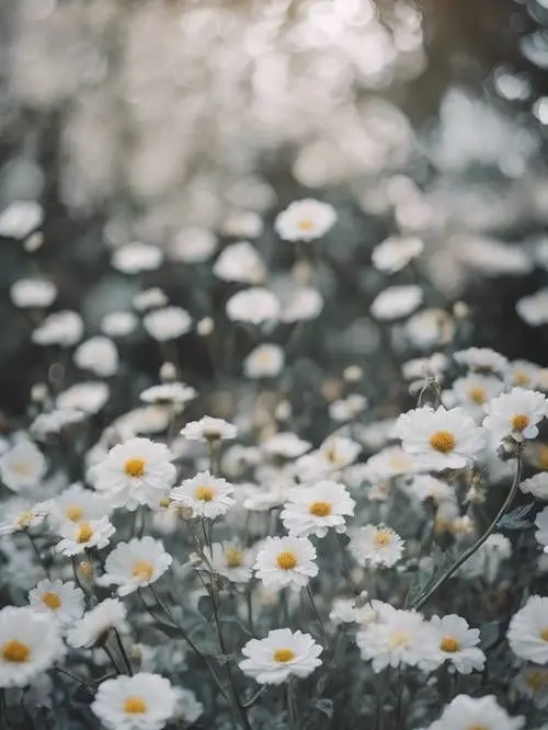 FuzzyKiwi2543의 田舎の青春