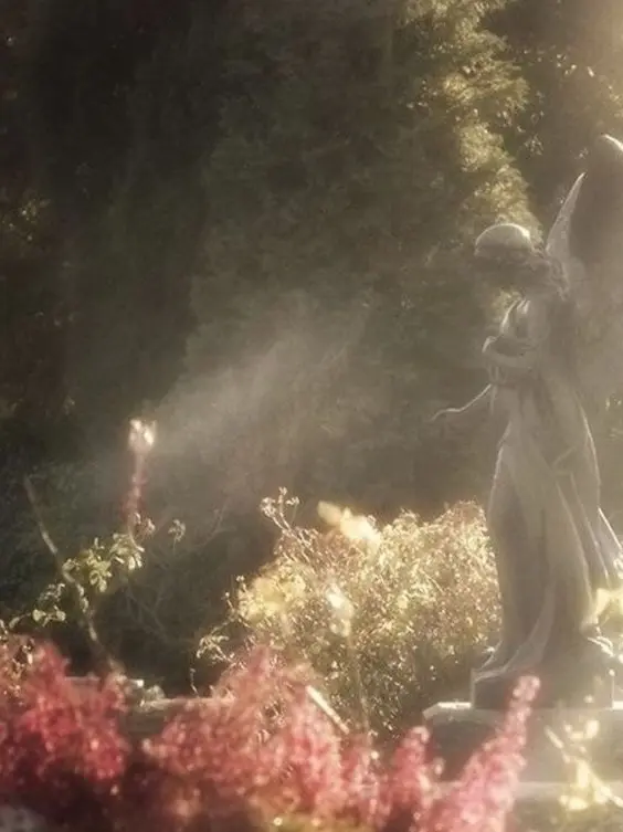 tamani1의 God's Irony