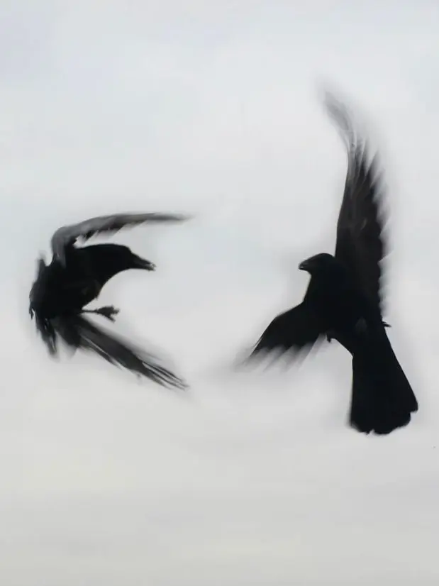 Exin_의 그들의 주인은