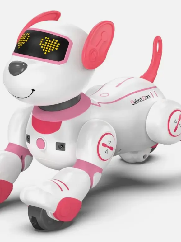 YOURFAVORITECHAMELEONLOVER의 ROBO DOGGY