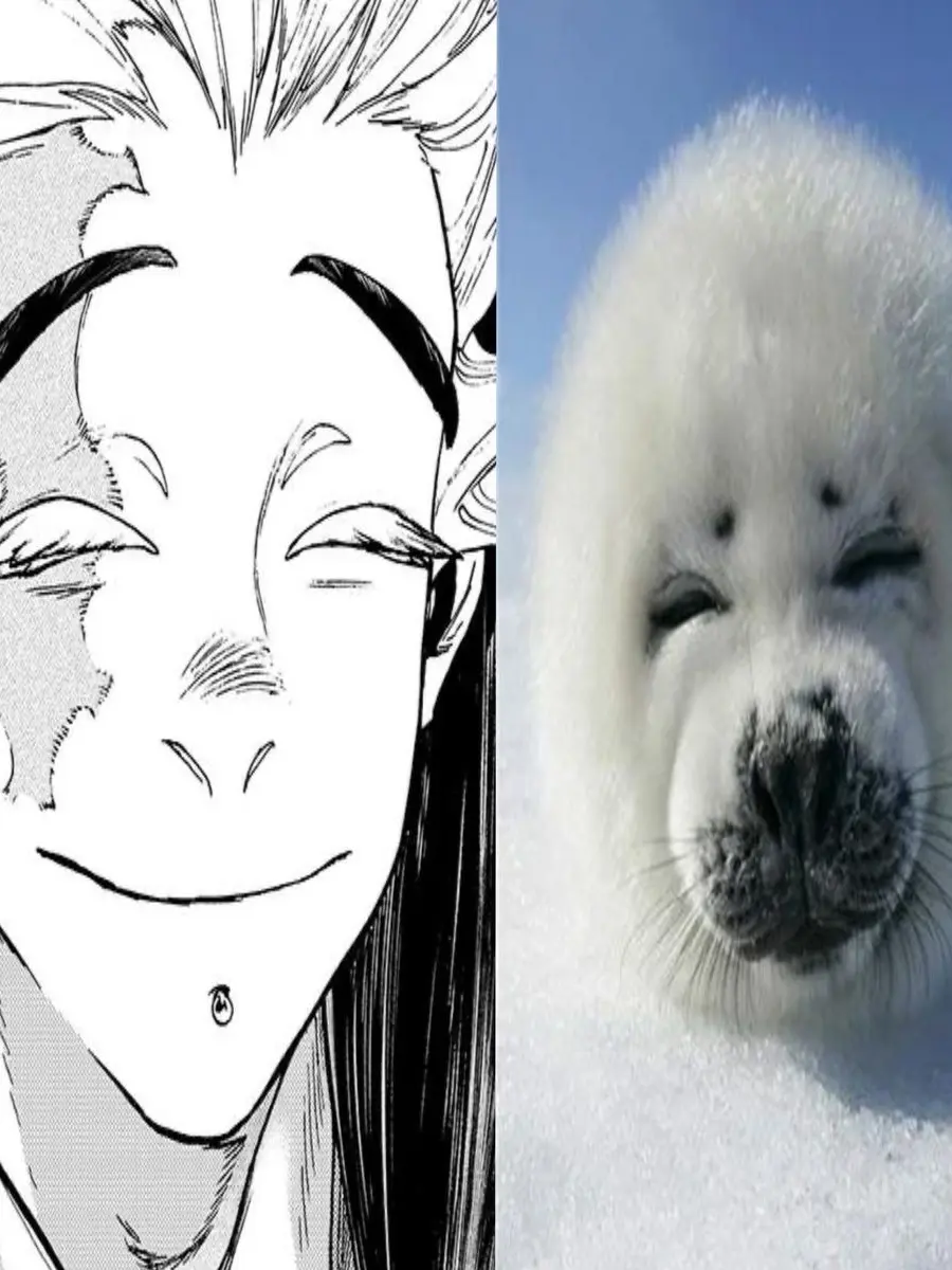 nope.의 (´ω`)