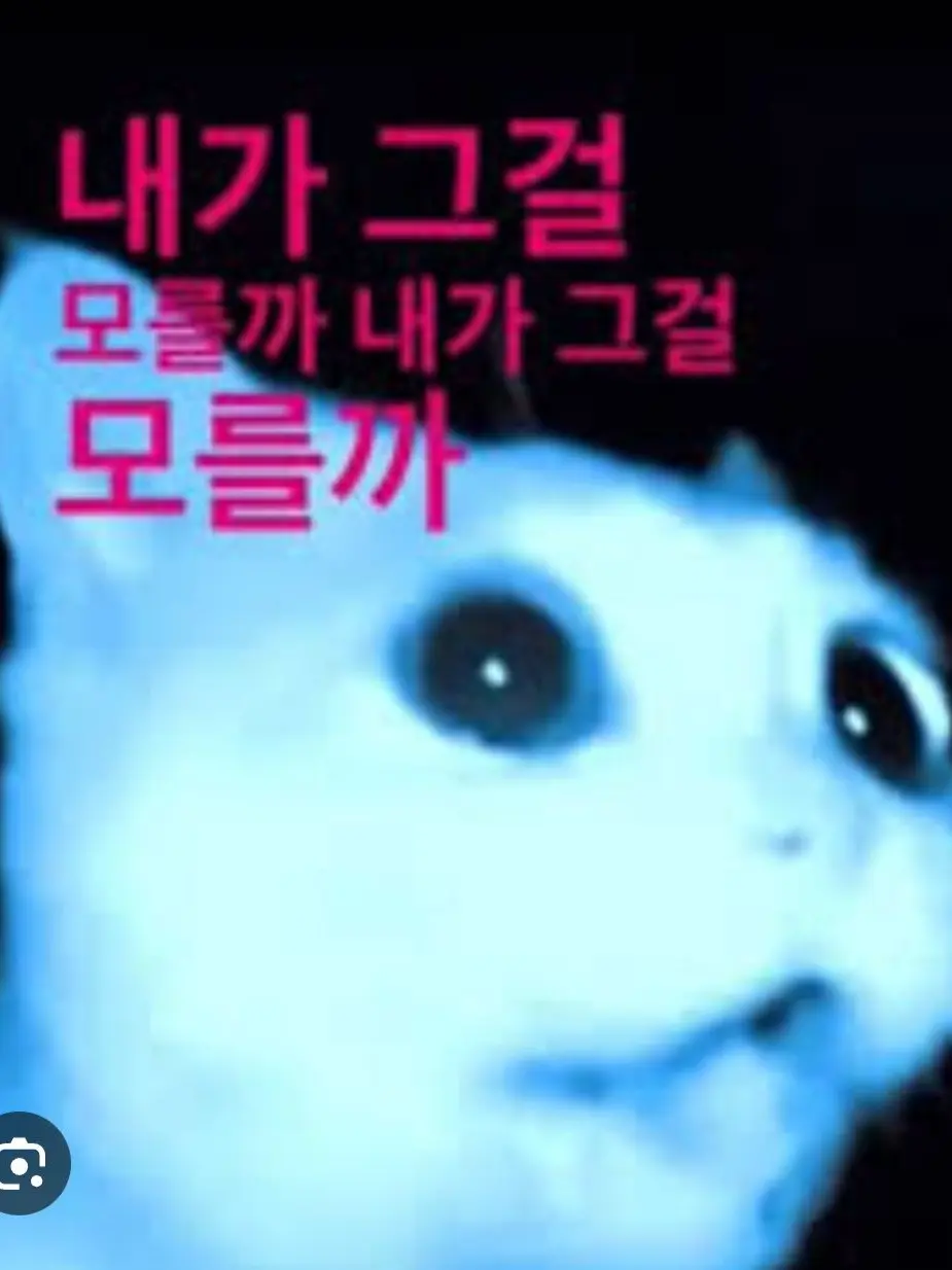 Villan의 혜안져스 (레게노분 추가)+여우