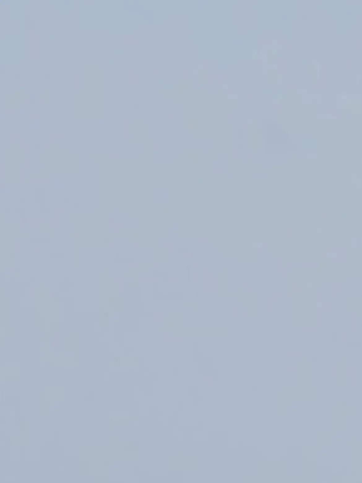 LivePatio9578의 夏油傑