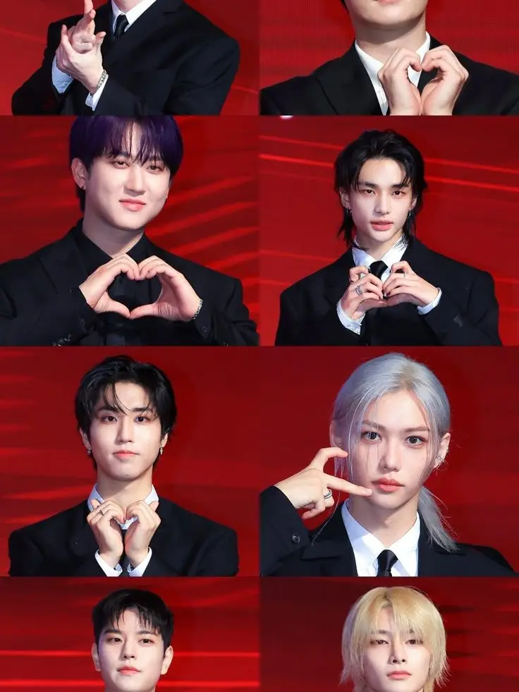 DenseFort4327의 SKZ 10th Member