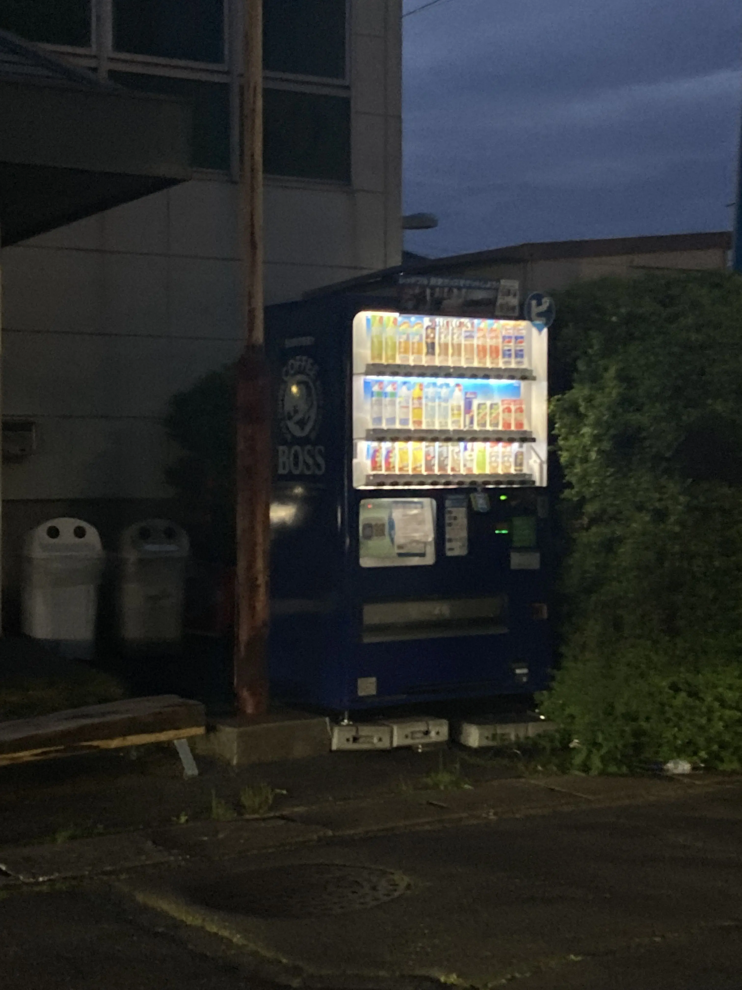 sk-의 一生わたしの隣に