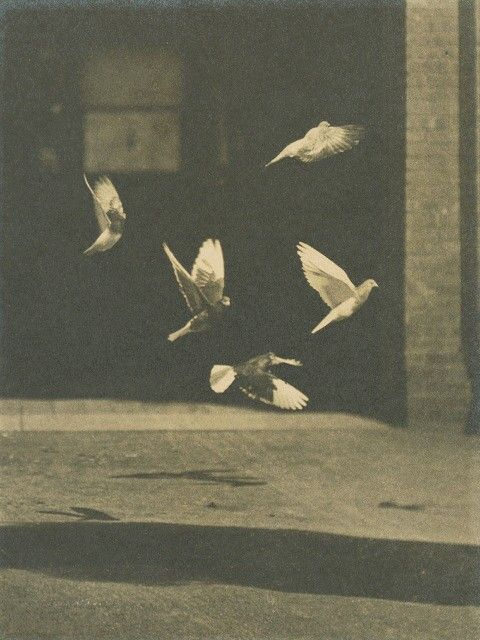 René Gauthier 대표 이미지