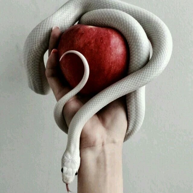 진흙탕