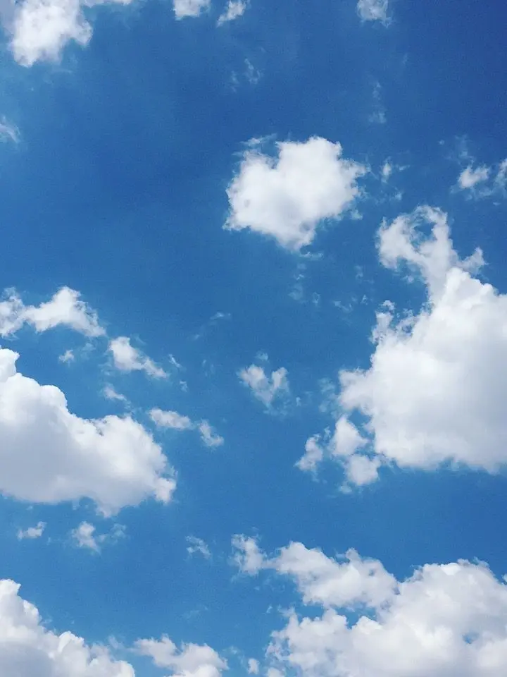 KeenGlobe4411의 아역배우끼리 사랑