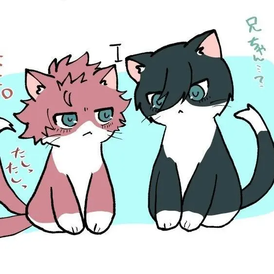 WiseMiner6052의 이토시 냥이