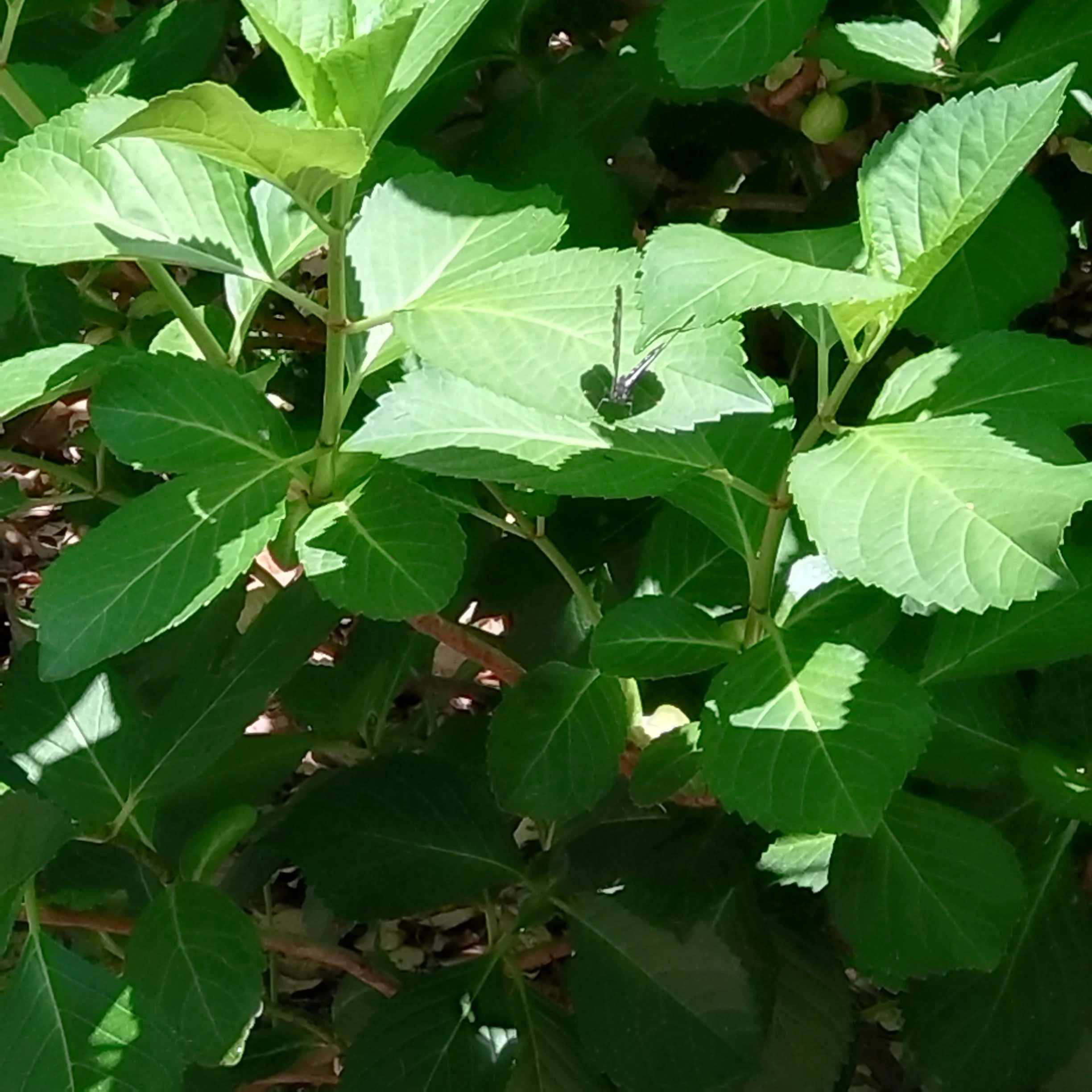 小6になろうか。