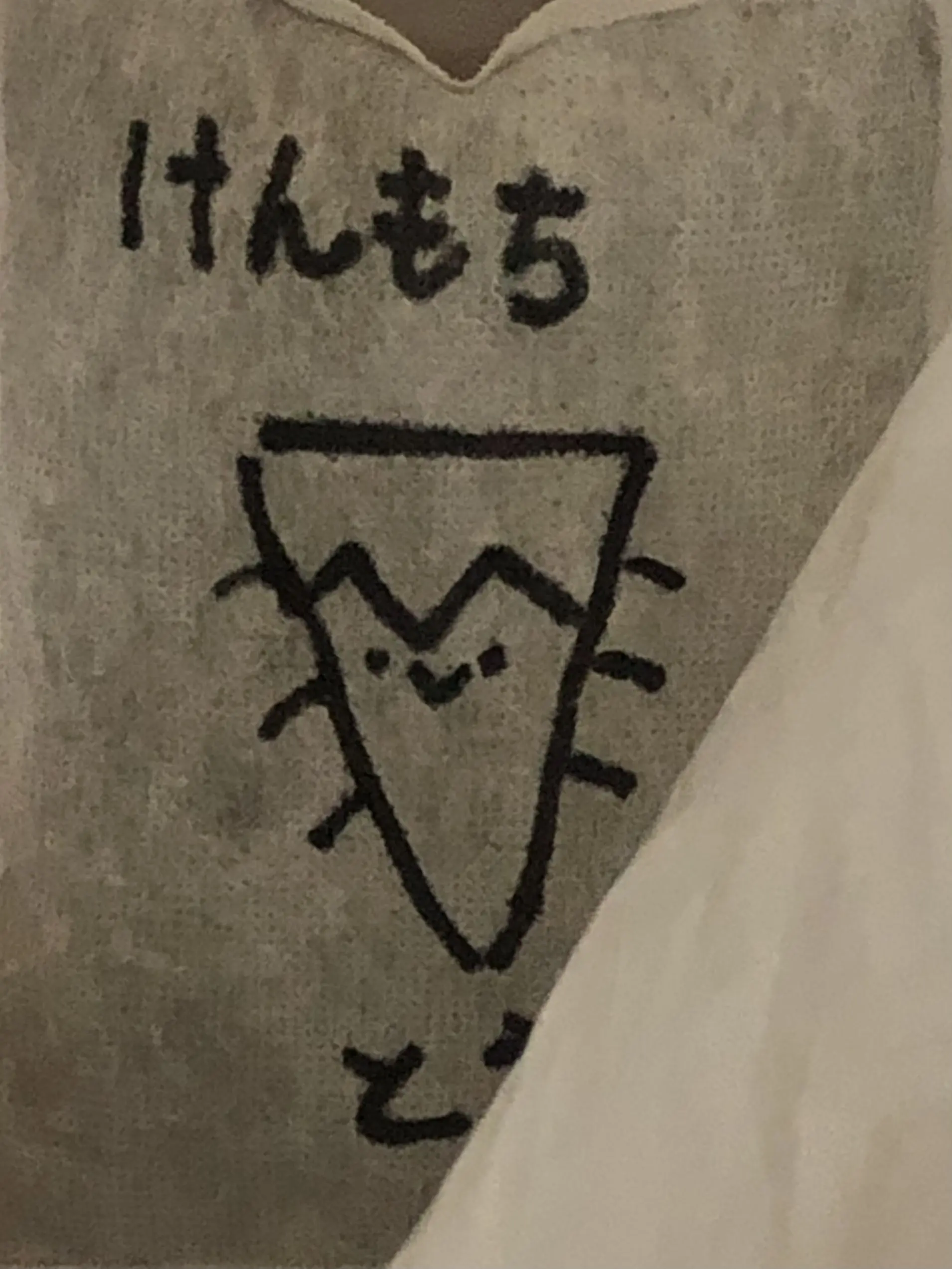 a567800의 拾ってください。