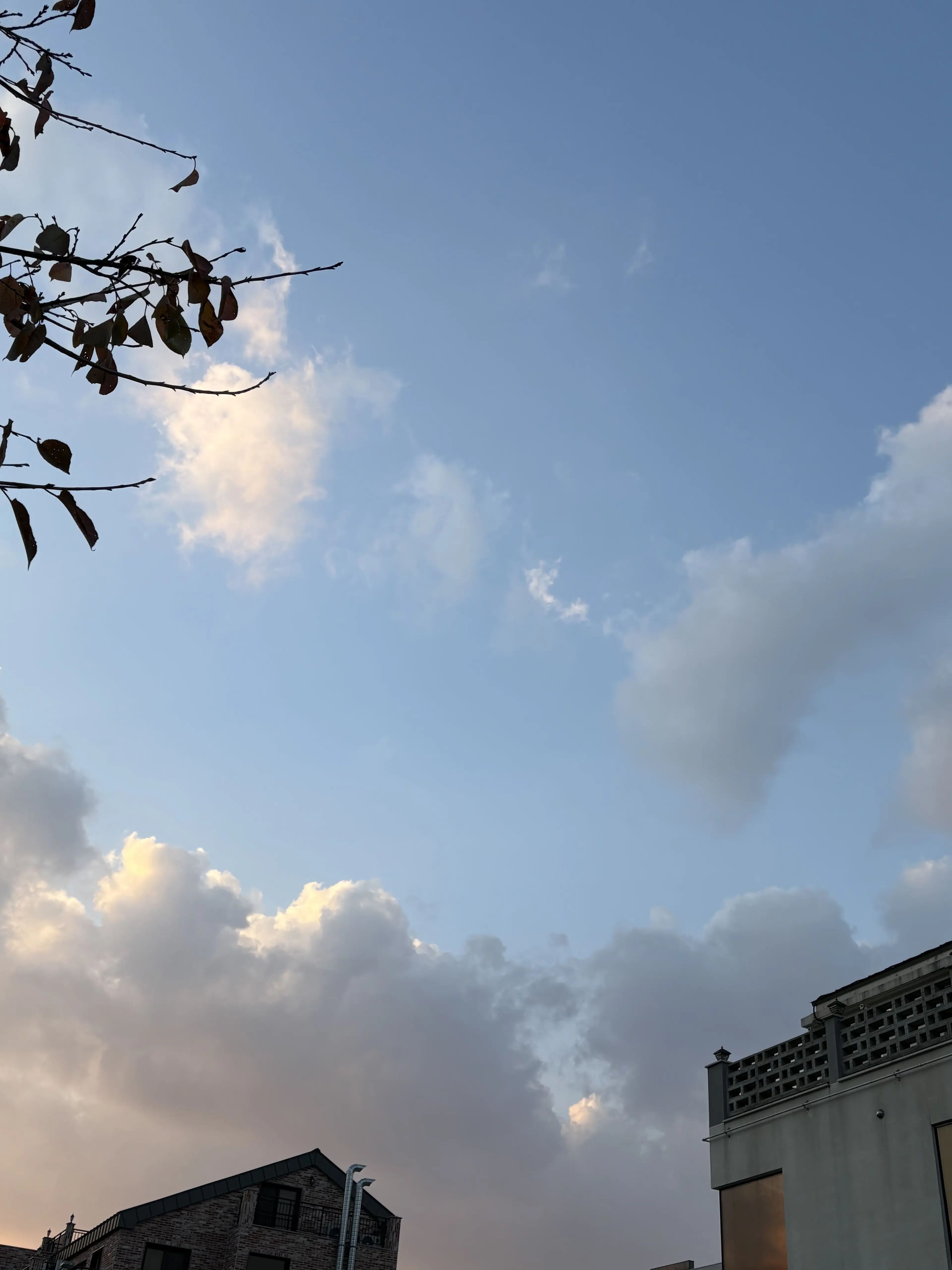 Lee_bin의 애저타임(+여우)