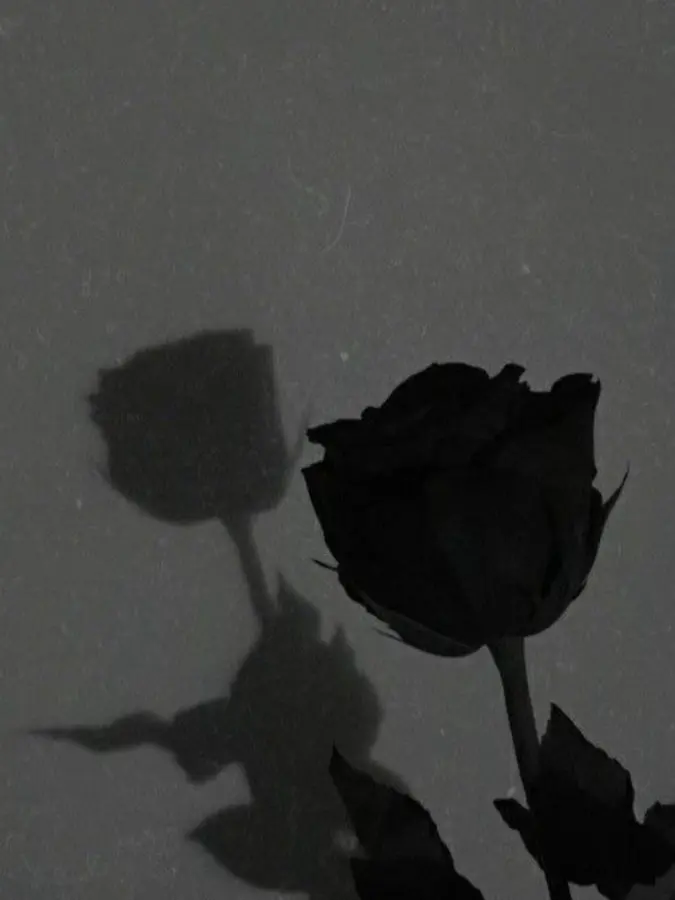 DDTTGG의 네가 생각나면 새벽 한 시야