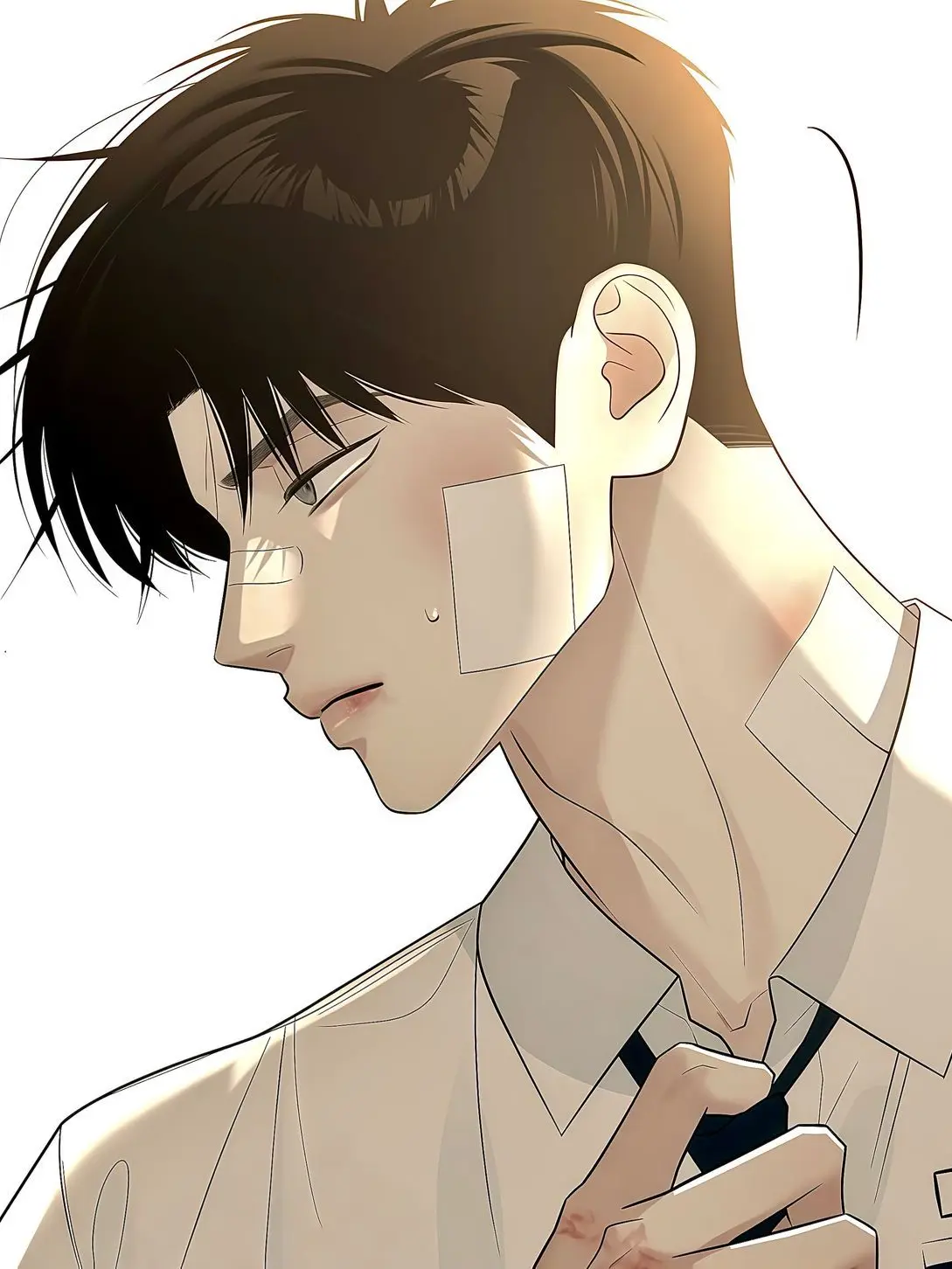 socafes의 Reito