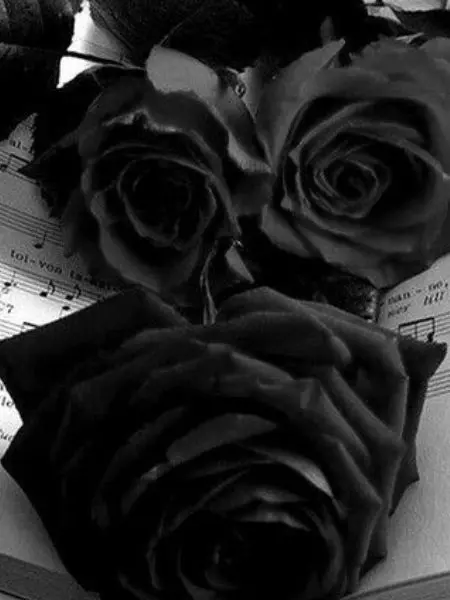 trigger_444의 박덕개