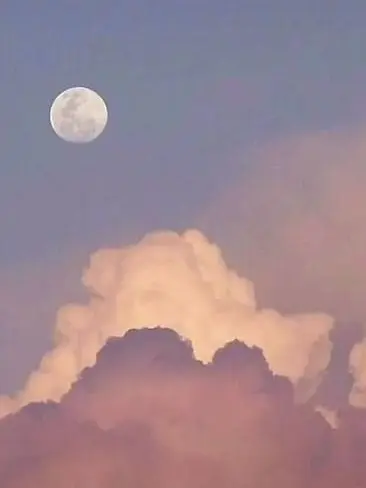 FluffyPest9206의 兄