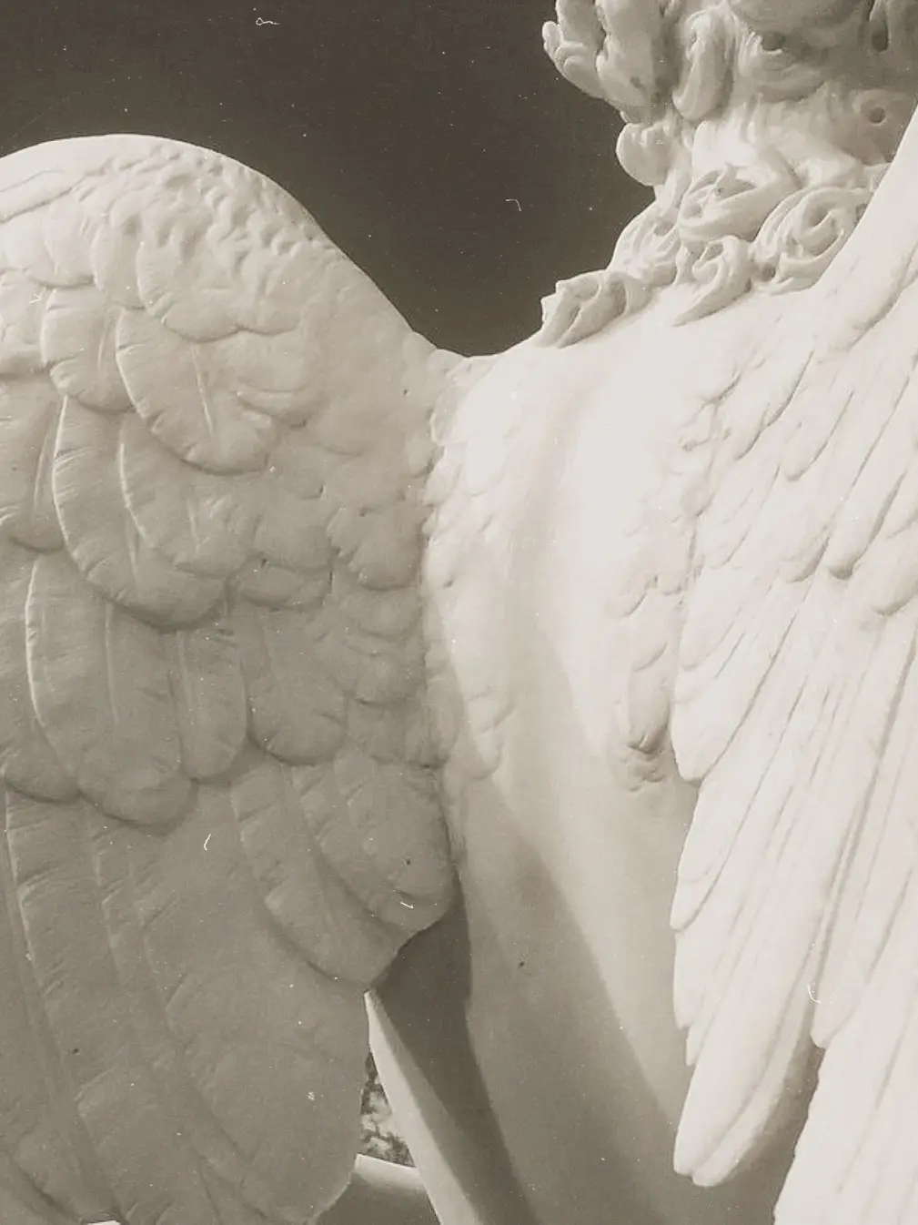 LuL.blanket의 Venus