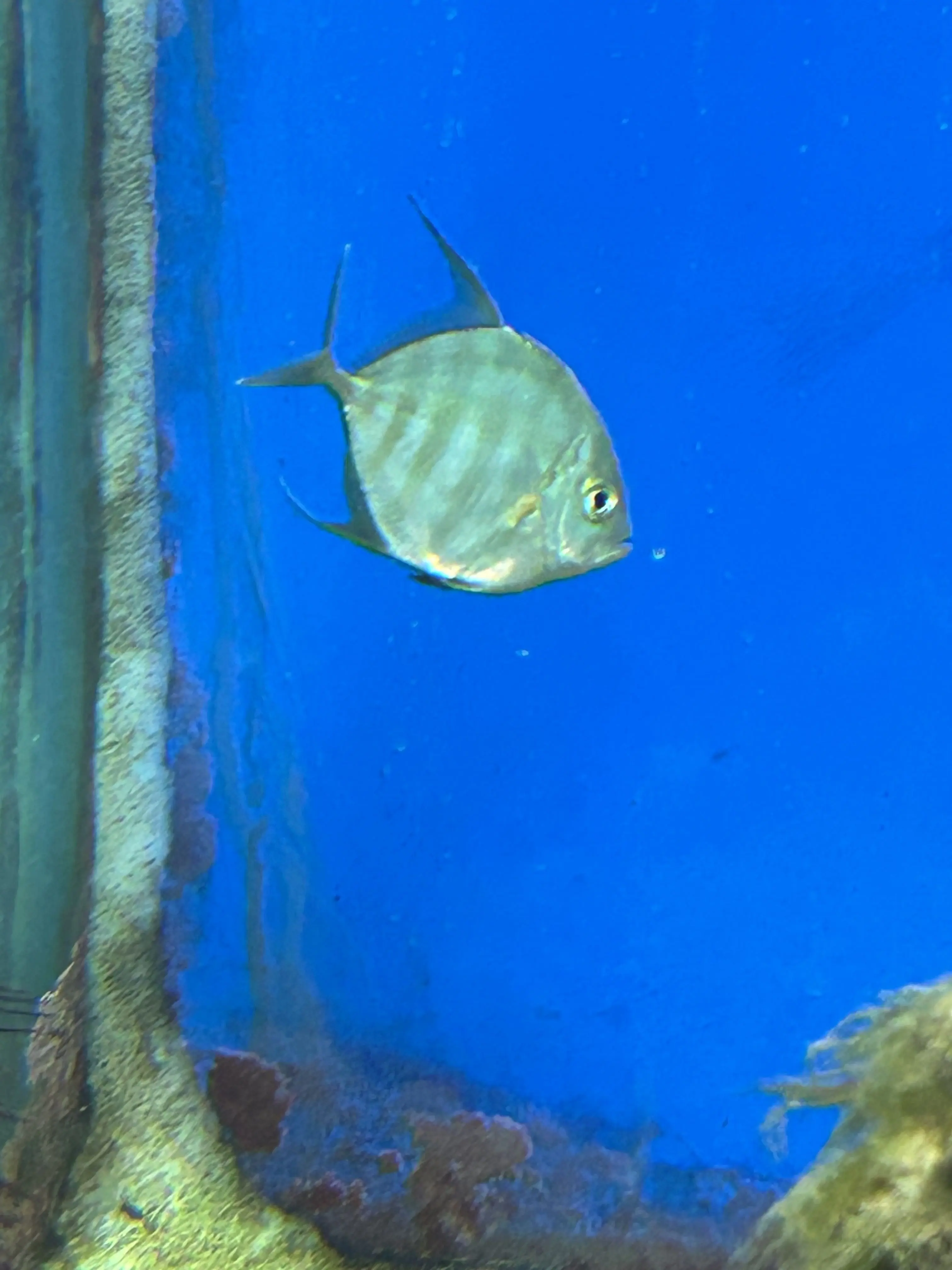 CuteLevel6480의 フィンランド赤ちゃん3