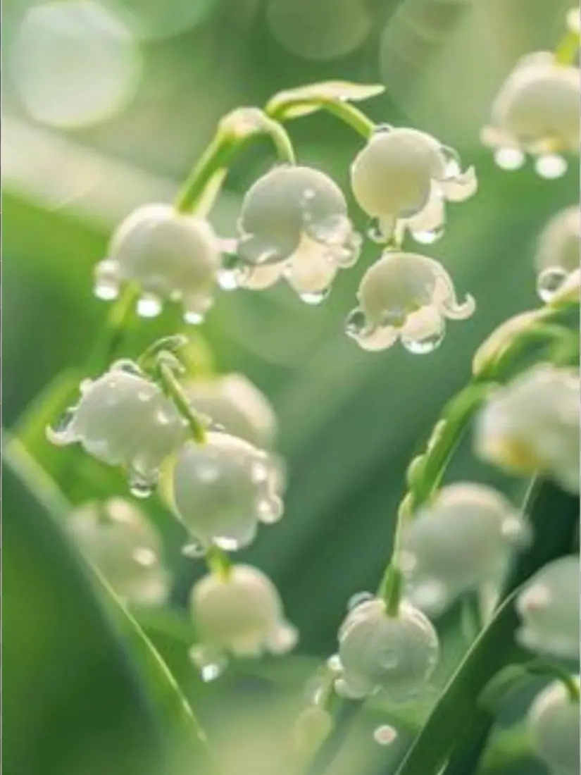 TidyDeath1157의 언제든지 기다릴게