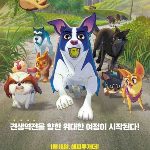 언더독