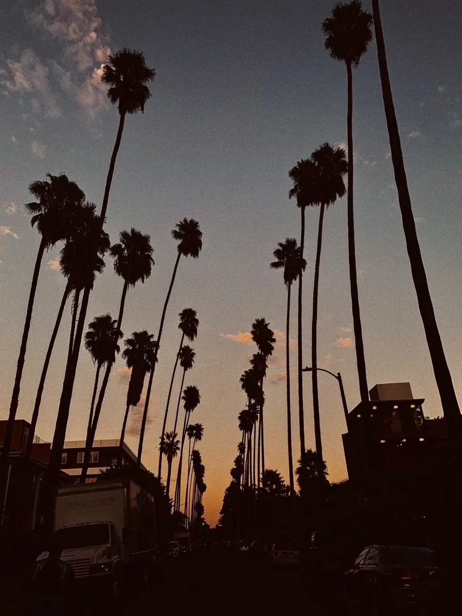 trxnspxrency의 𝐒𝐨𝐮𝐭𝐡 𝐂𝐞𝐧𝐭𝐫𝐚𝐥 𝐍𝐢𝐠𝐡𝐭𝐬
