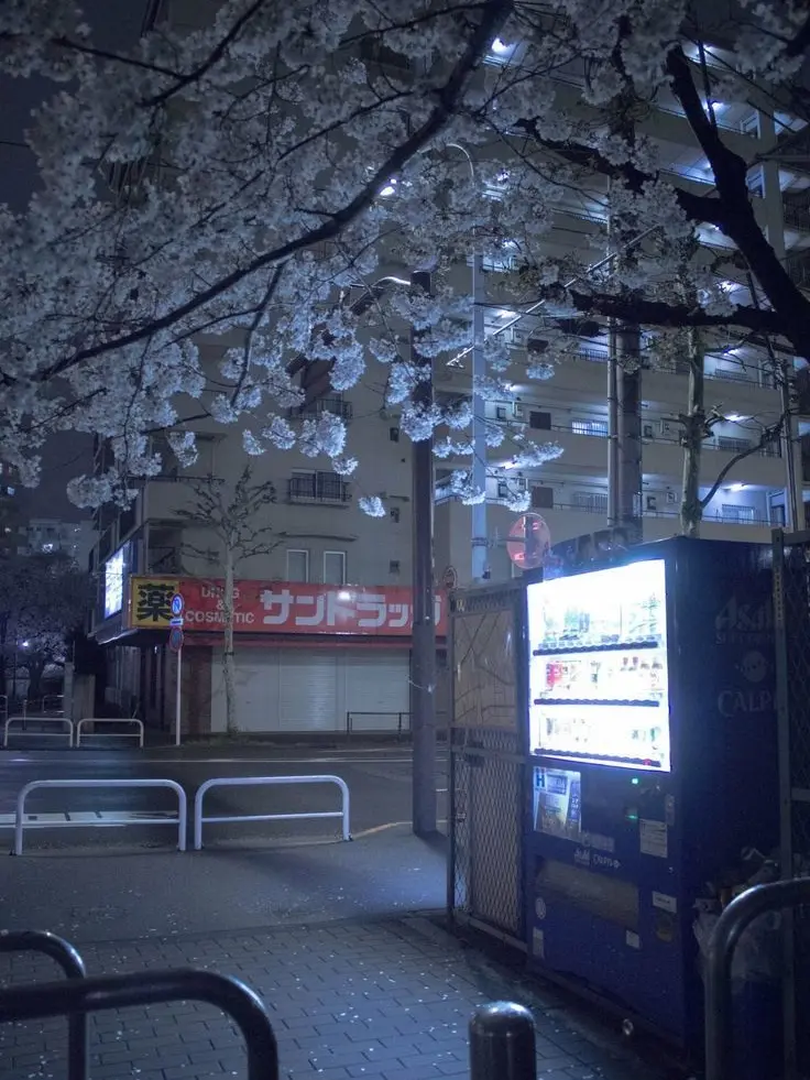 OOO_OOO_O의 鳥籠と桜